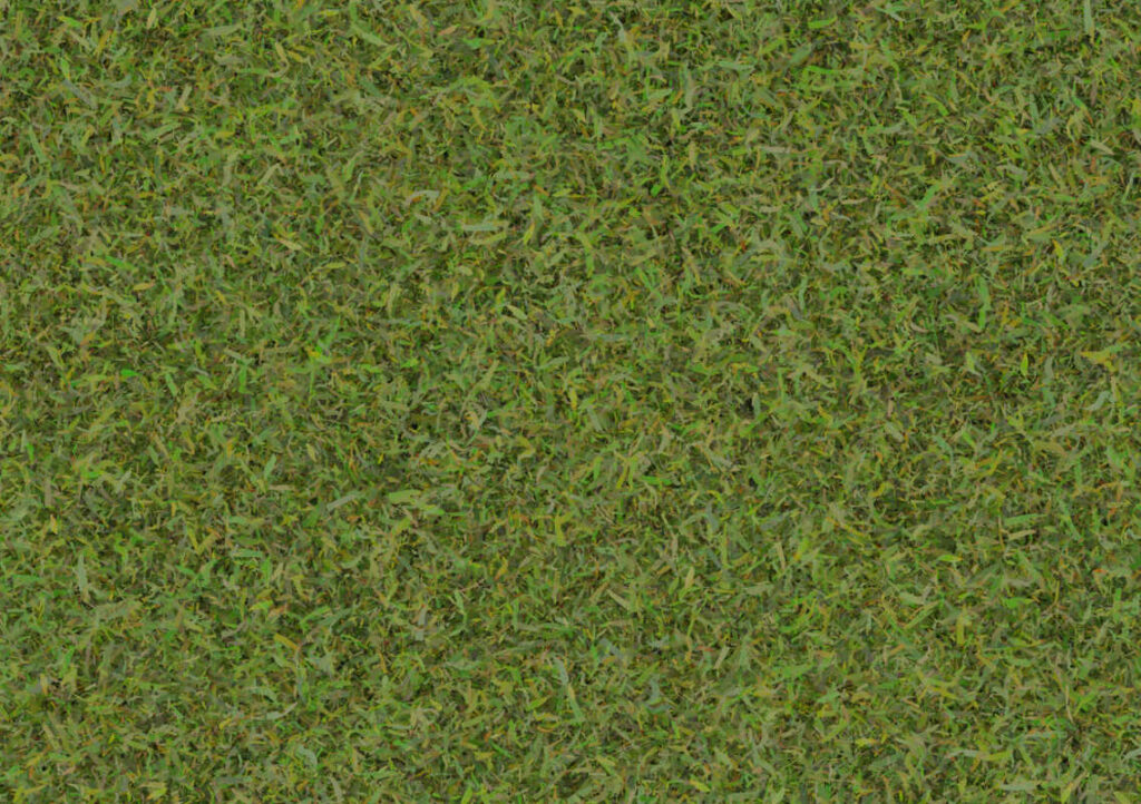 A Free CC0 public domain grass, green grass, foliage, green foliage ...